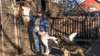 A woman stroking a horse outside of a stable with 2 dogs looking up at the horse