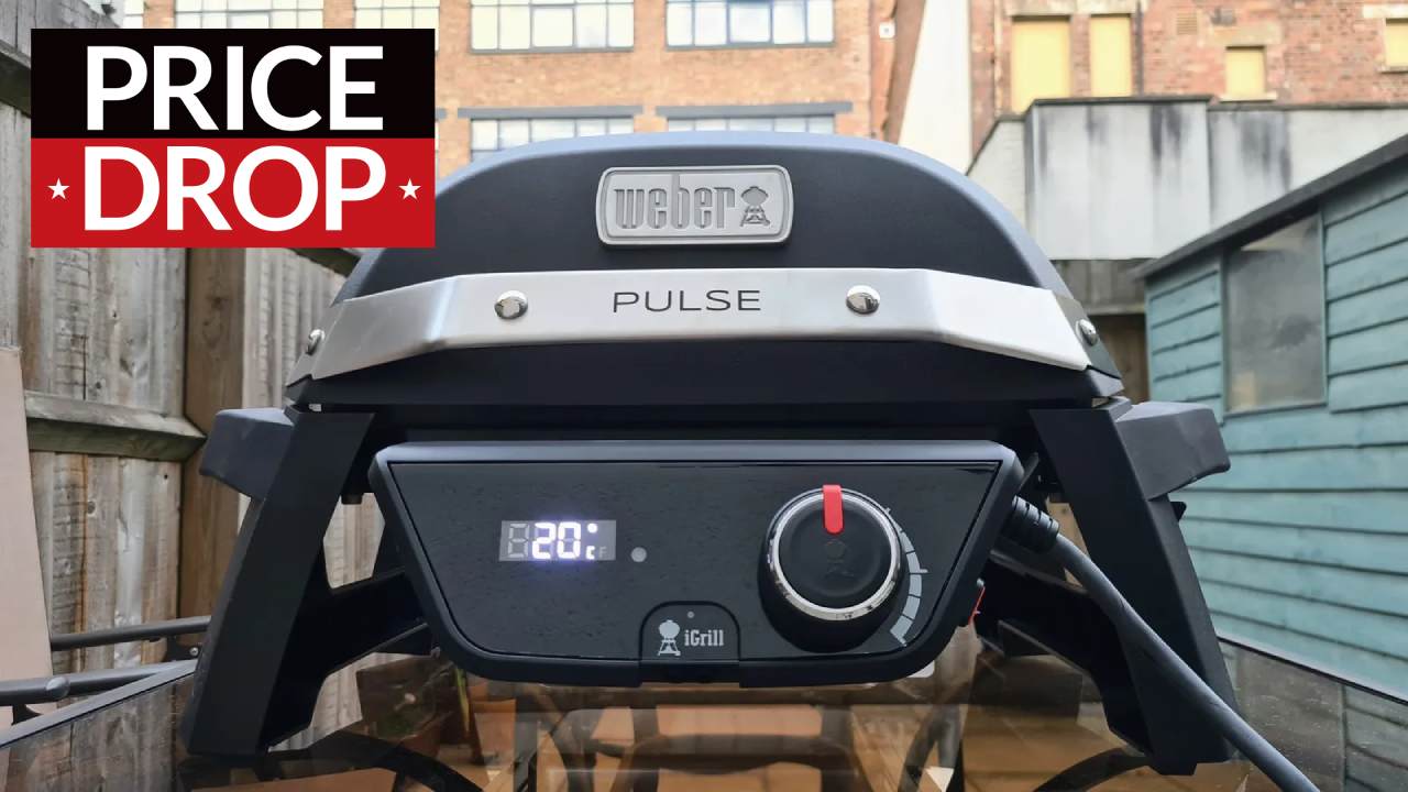 Weber Pulse 1000
