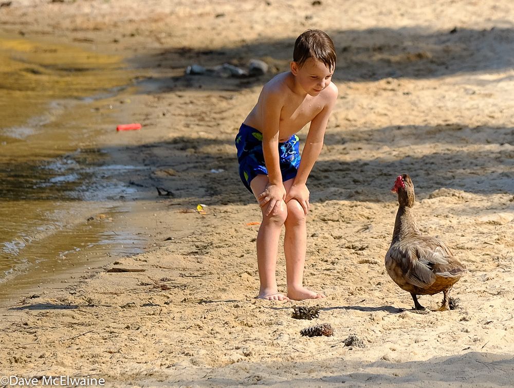 Not everyone seemed interested in watching the race at Wildwood Park.