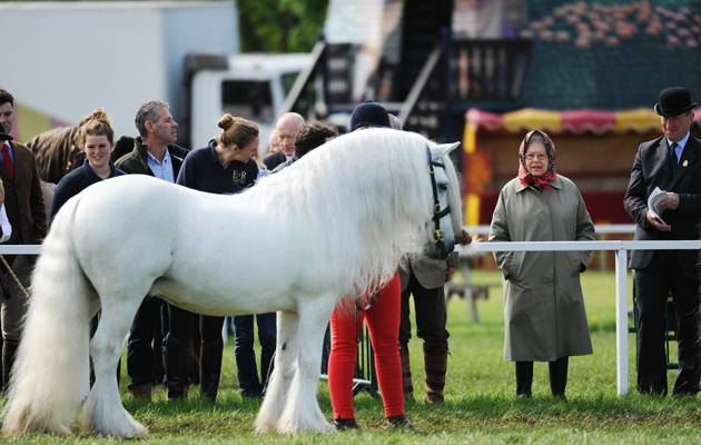 1-Queen-HMQ_RWHS15pn_12515.jpg