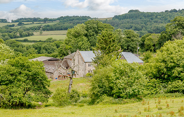 Colmer Farm Stud, Marshwood, Bridport, Dorset EXT2