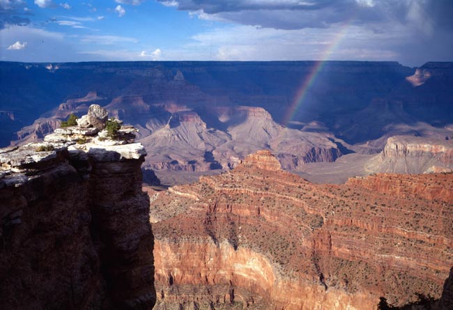 The Grand Canyon In Pictures 