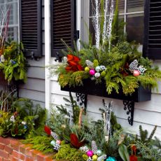 festive winter window boxes
