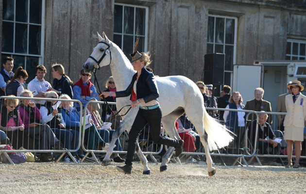 Bosun_Badminton16pn_1531.jpg
