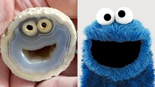 A rock collector in Brazil found this agate, a type of volcanic rock, that looks just like Cookie Monster.