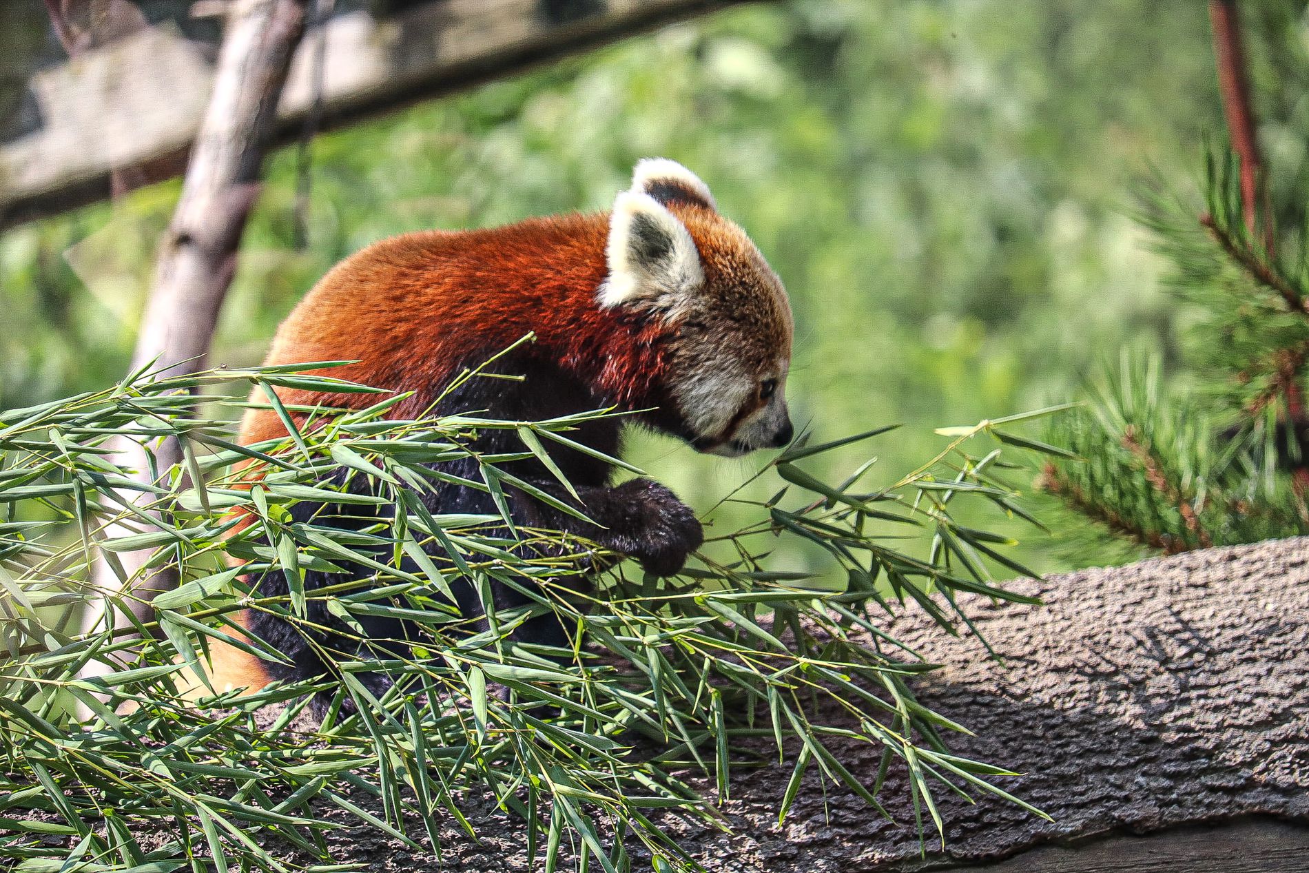 GuruShots - Nature March 2026