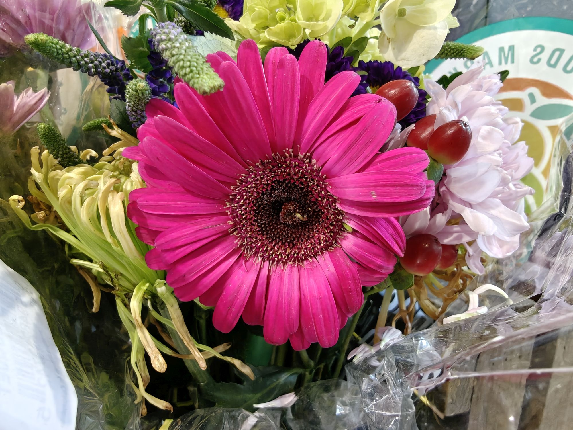 OnePlus 15  camera sample.