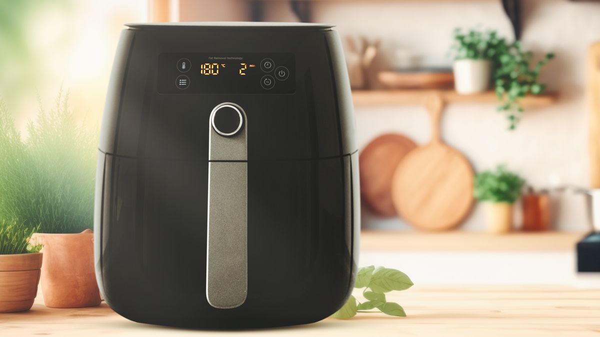 Why Own an Air Fryer (+ Top Recommended Air Fryers 2023) - A Food Lover's  Kitchen