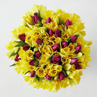 M&amp;S Mother's Day flowers: from £25 (