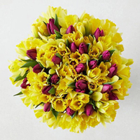 M&amp;S Mother's Day flowers: from £25 (was £30) + FREE delivery