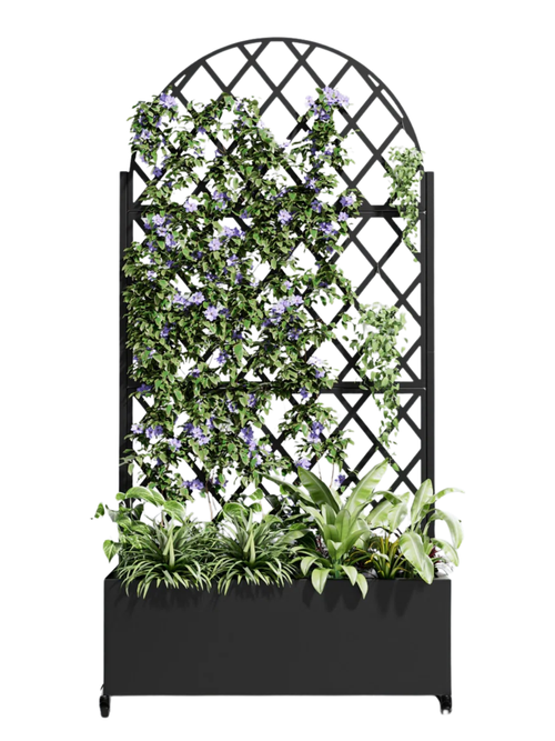 Metal Planter Box With Arched Trellis