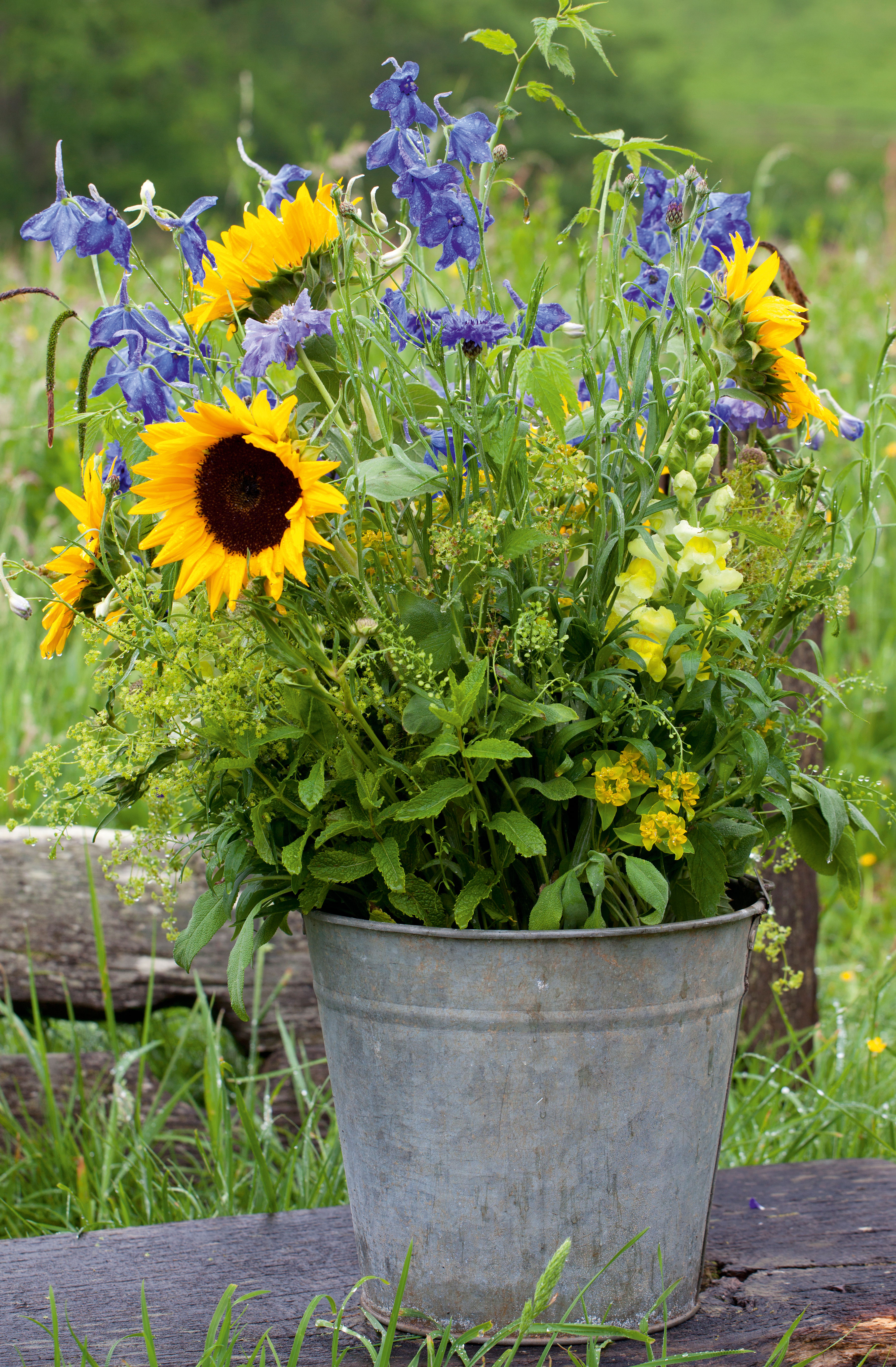 cut flowers