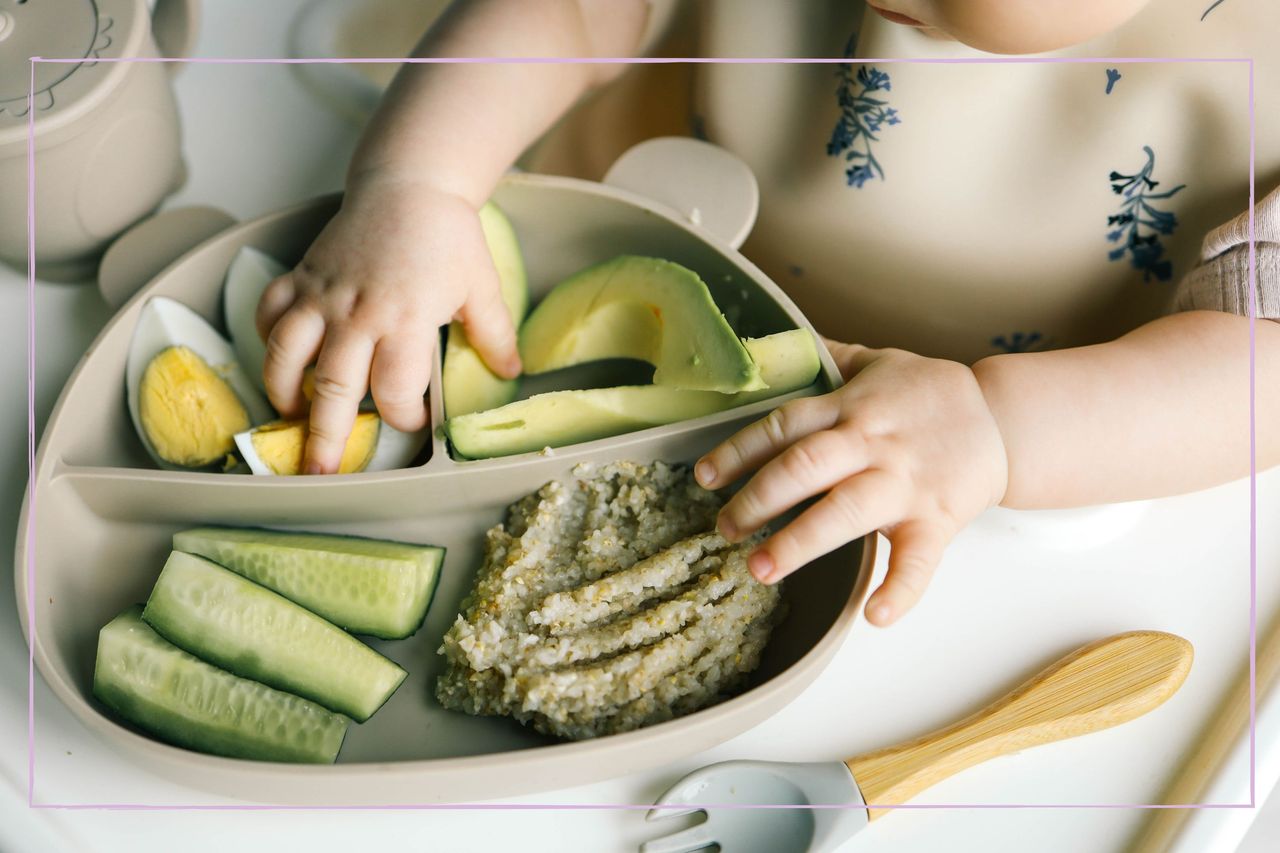 Close up of a baby&#039;s lunch plate