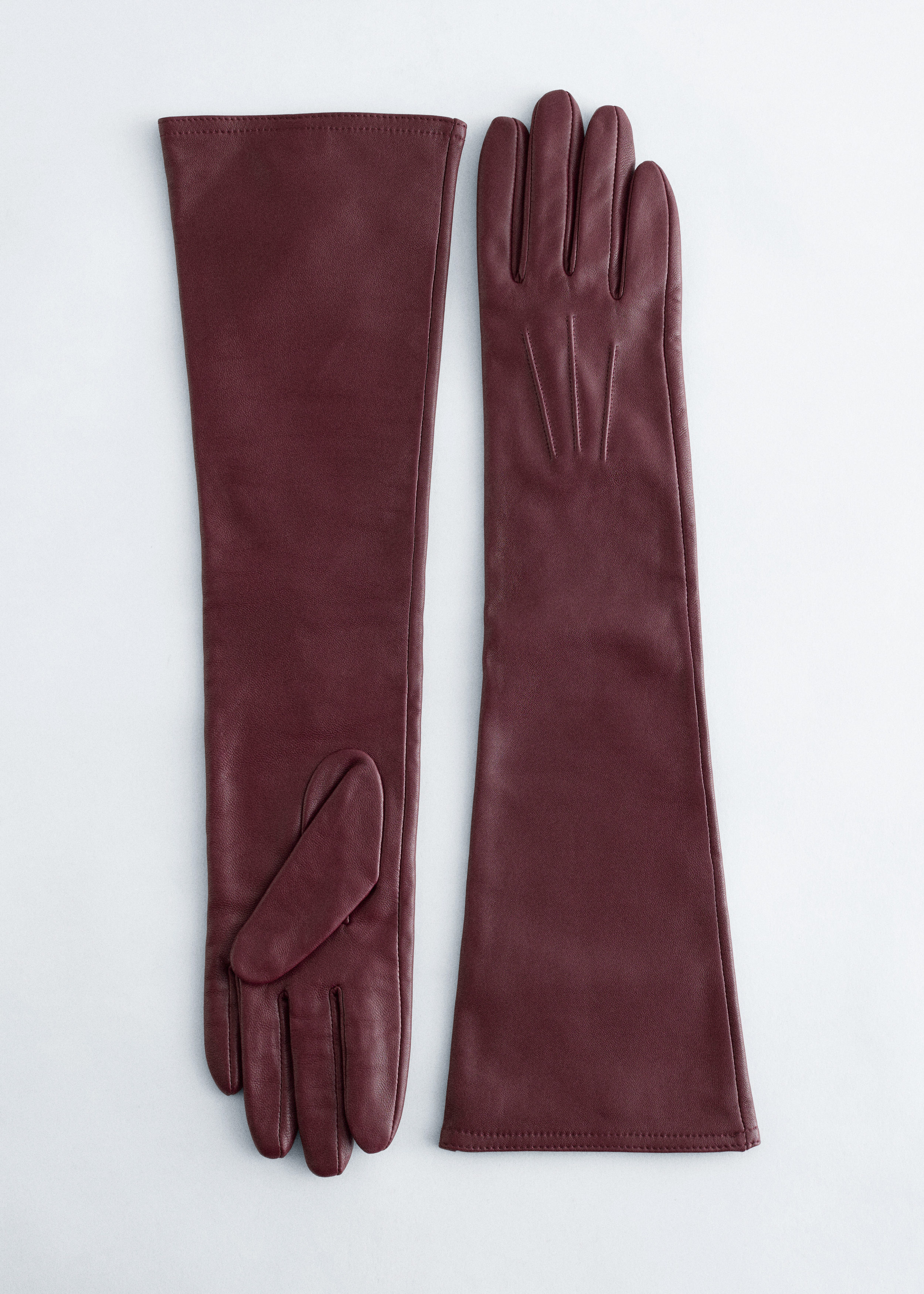 Long Leather Gloves