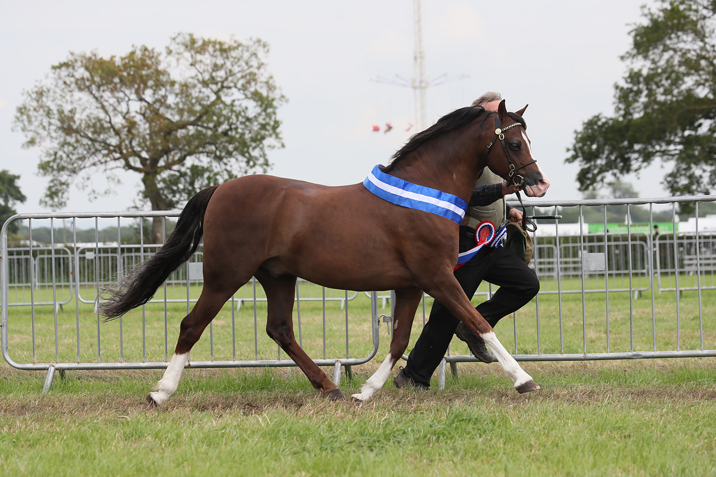 Cheshire County show 18th-19th June 2019