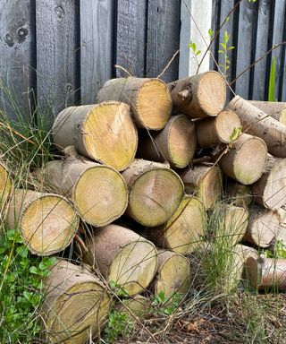 log pile for attracting wildlife