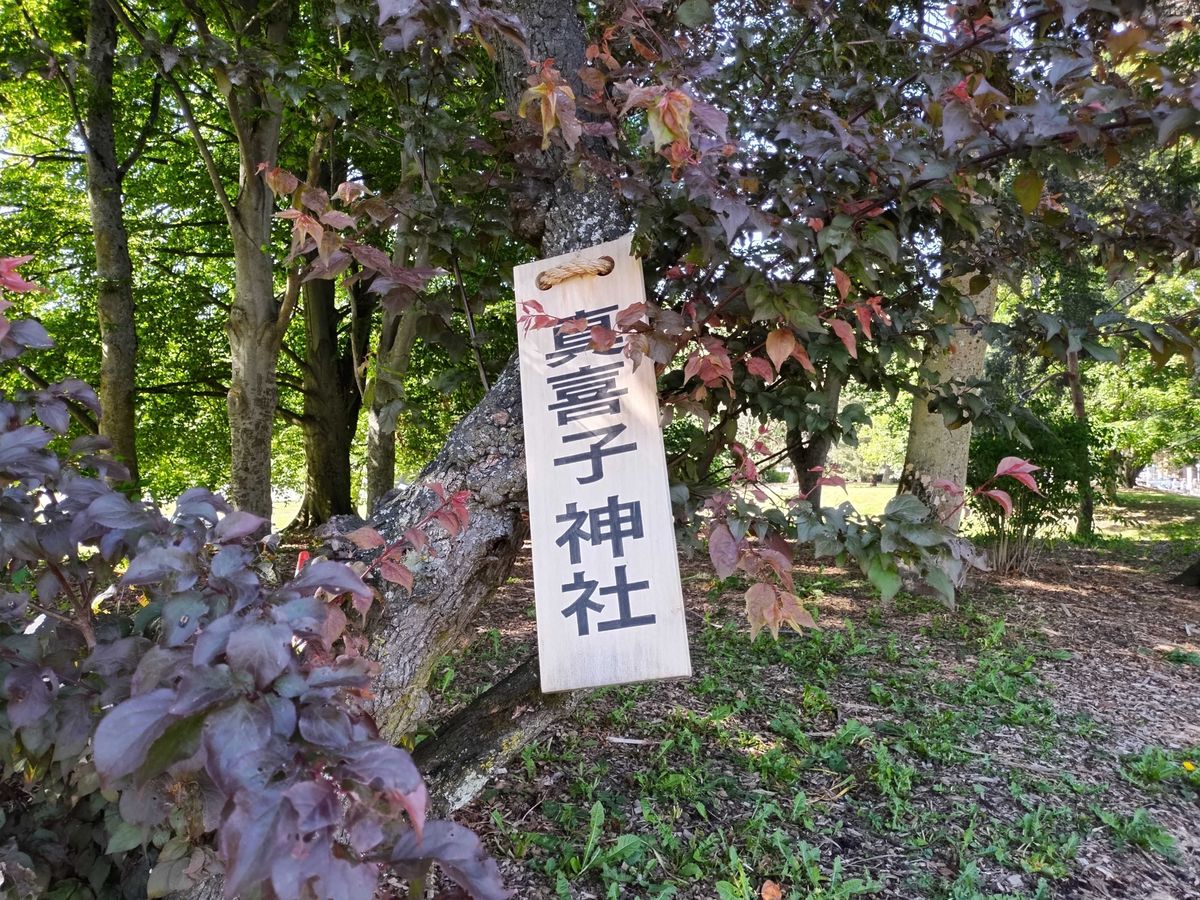 A sign hanging from a tree