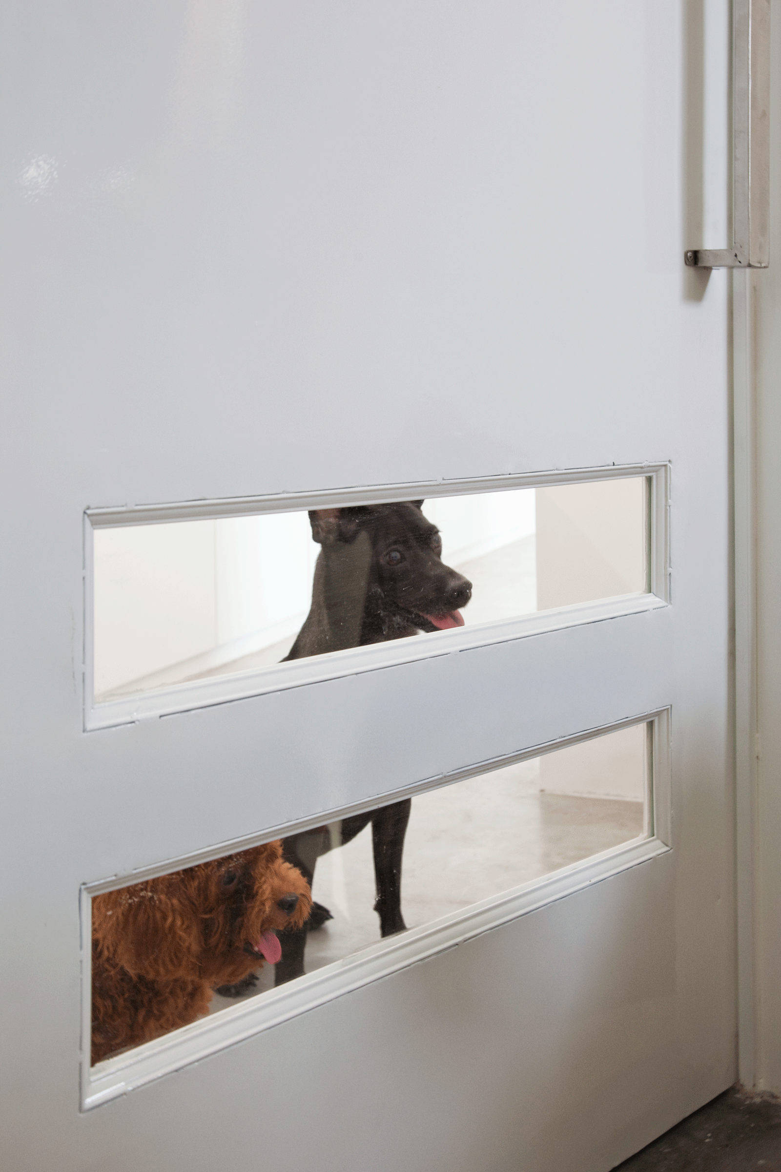 dog house with pet staircase