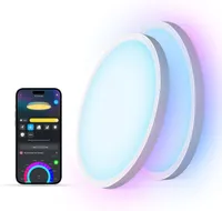 Govee Smart Ceiling Light (two-pack)