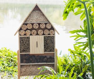 Bug hotel