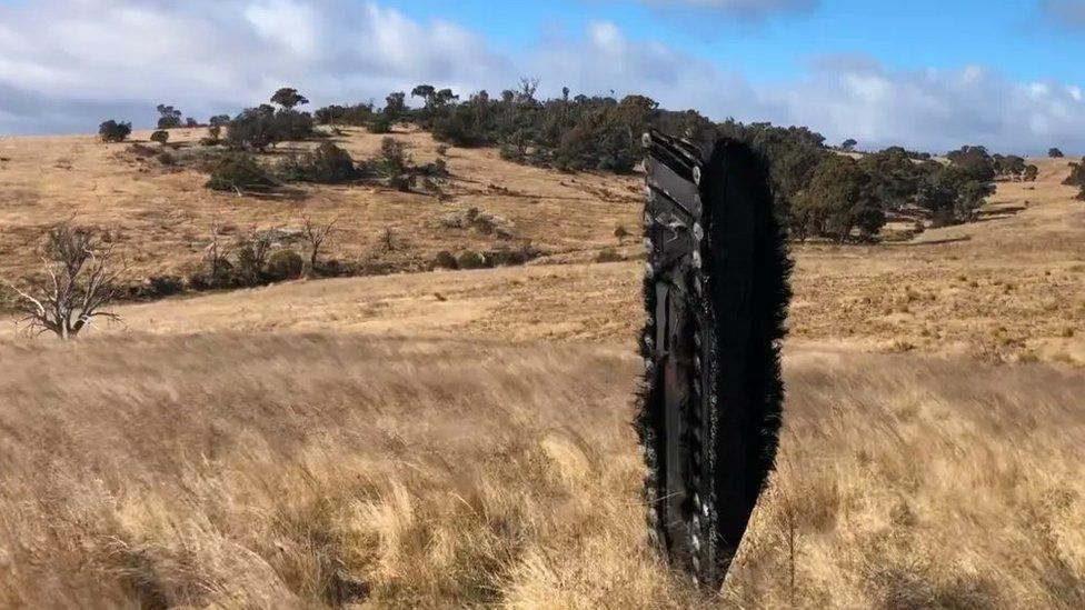 El pico chamuscado de 10 pies se encontró de pie en una granja de ovejas.