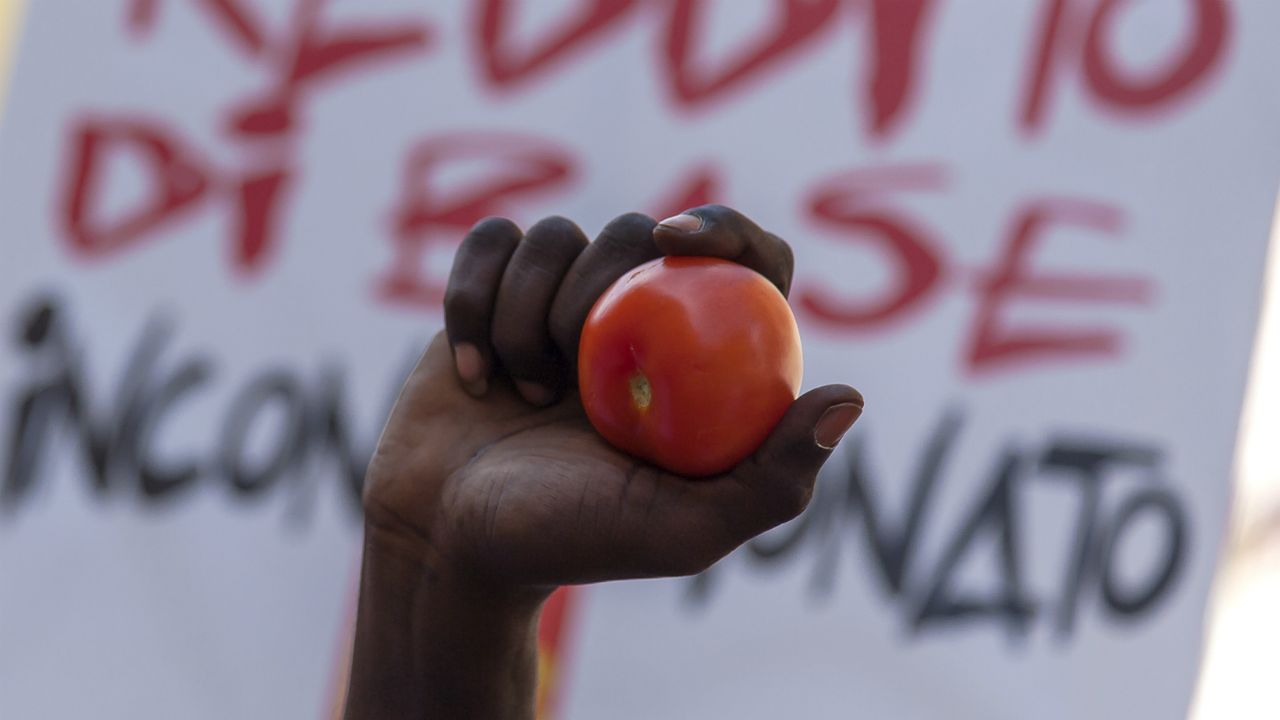 Tomato, Italy, Slave, Migrant