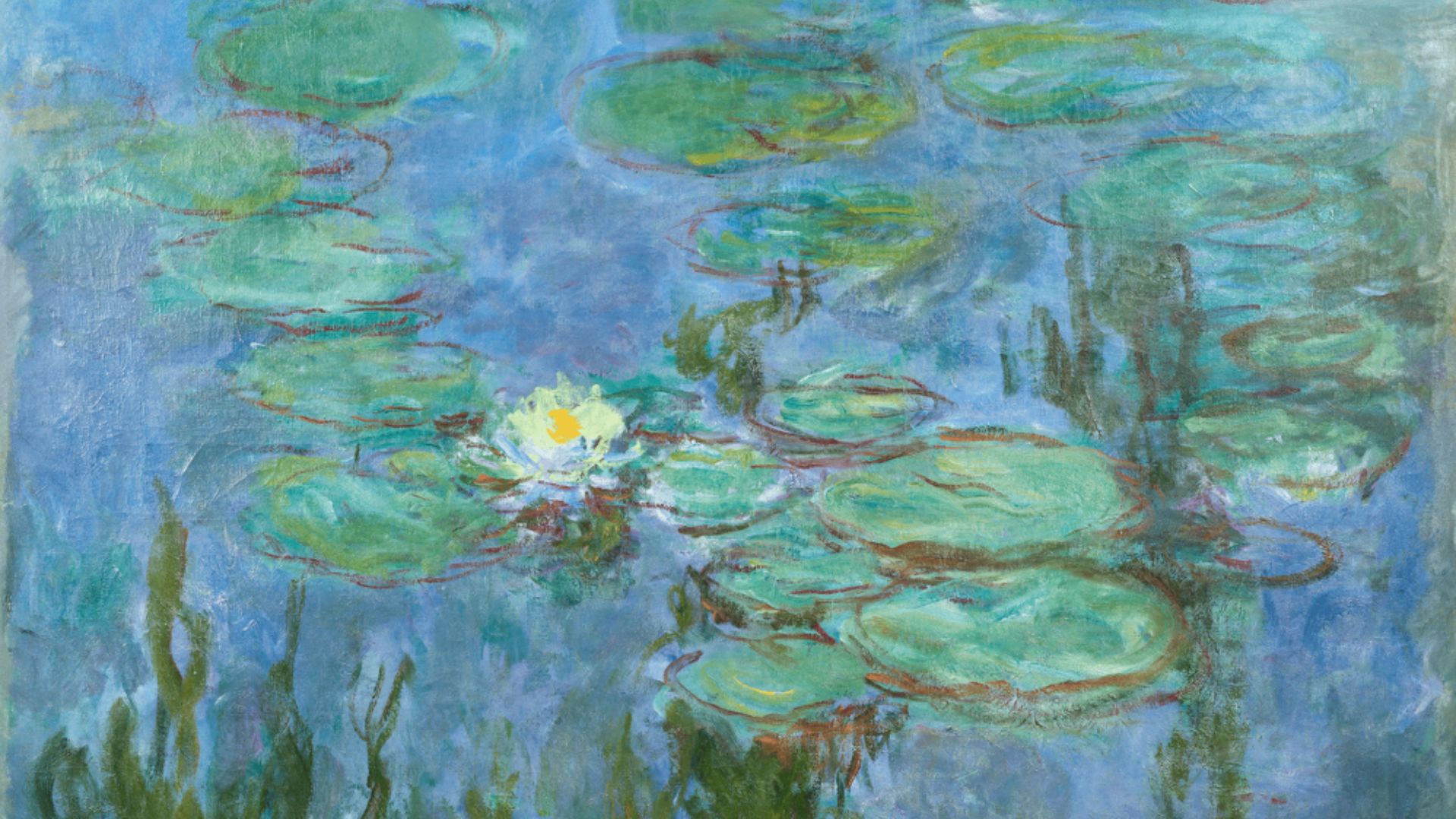 an image of Monet's Waterlillies painting