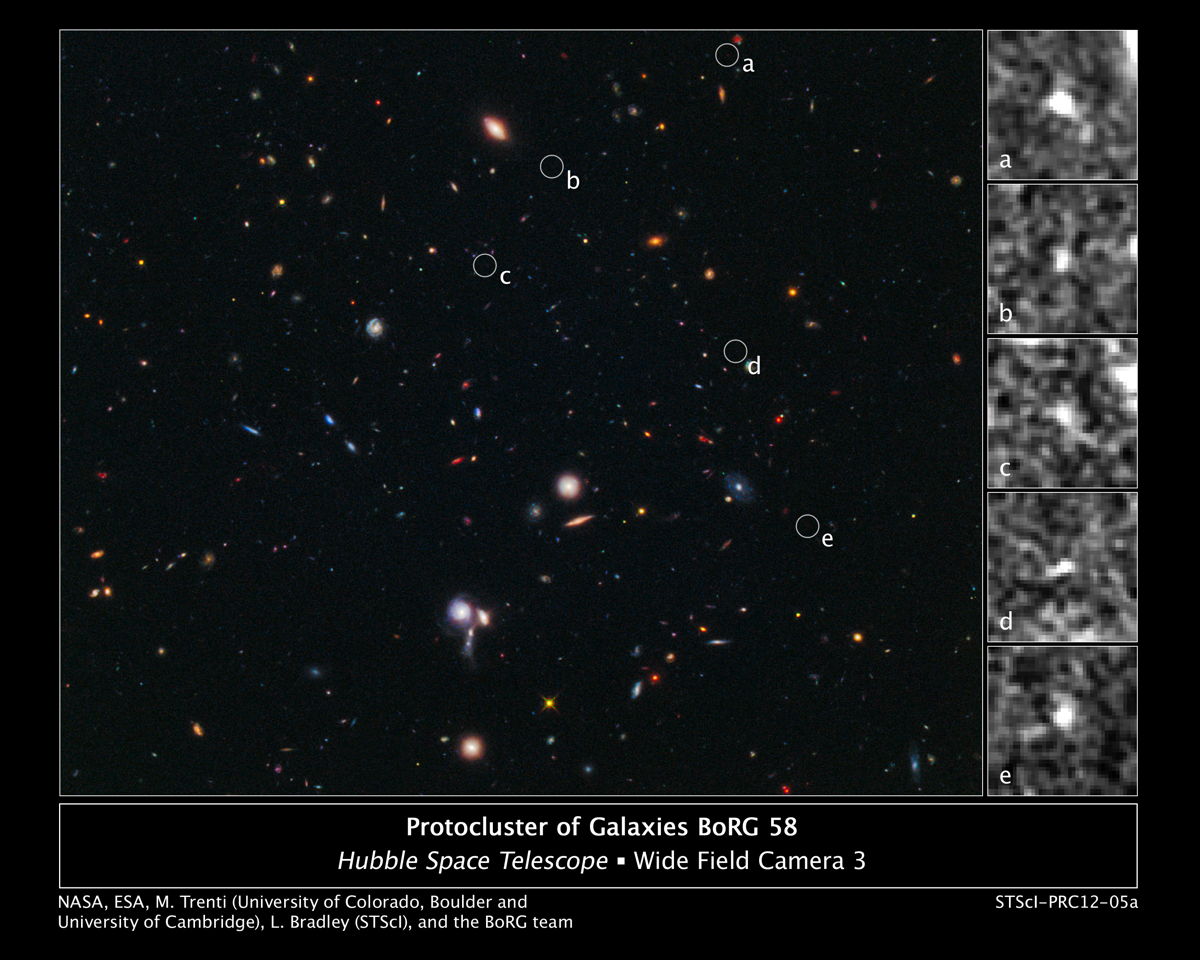 Hubble Spies Building Blocks of Most Distant Galaxy Cluster