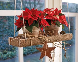 two red poinsettias suspended from the ceiling in christmas display