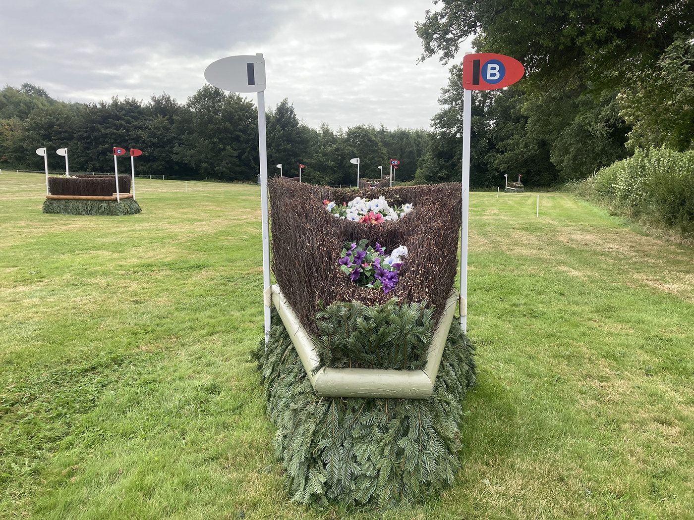 Bicton-fence19B