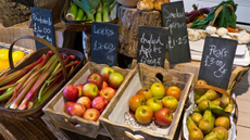 Baskets of fruit at a farm shop