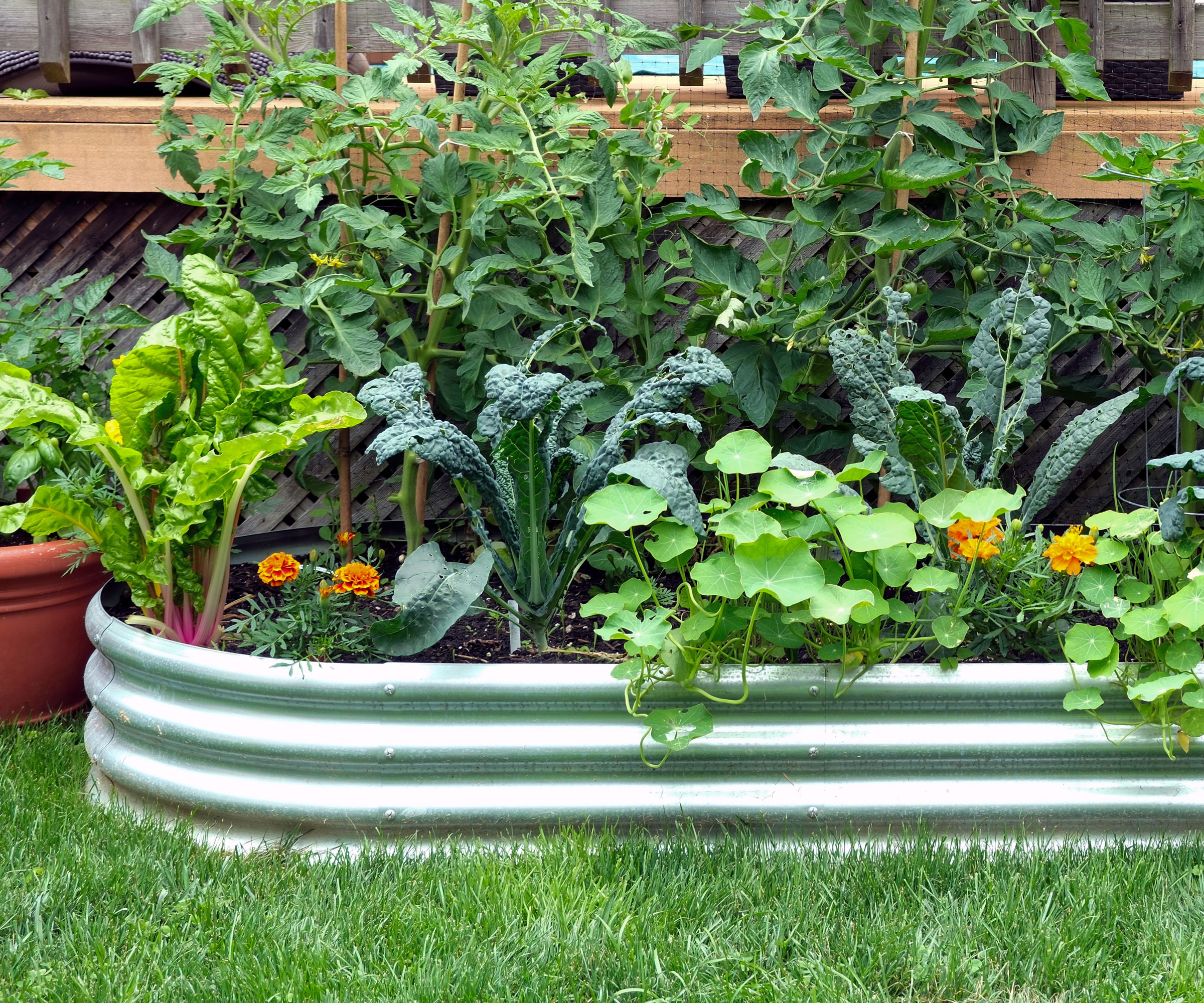 metal container of thriller filler spiller crops