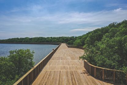 Ecoparque Ciénaga de Mallorquín