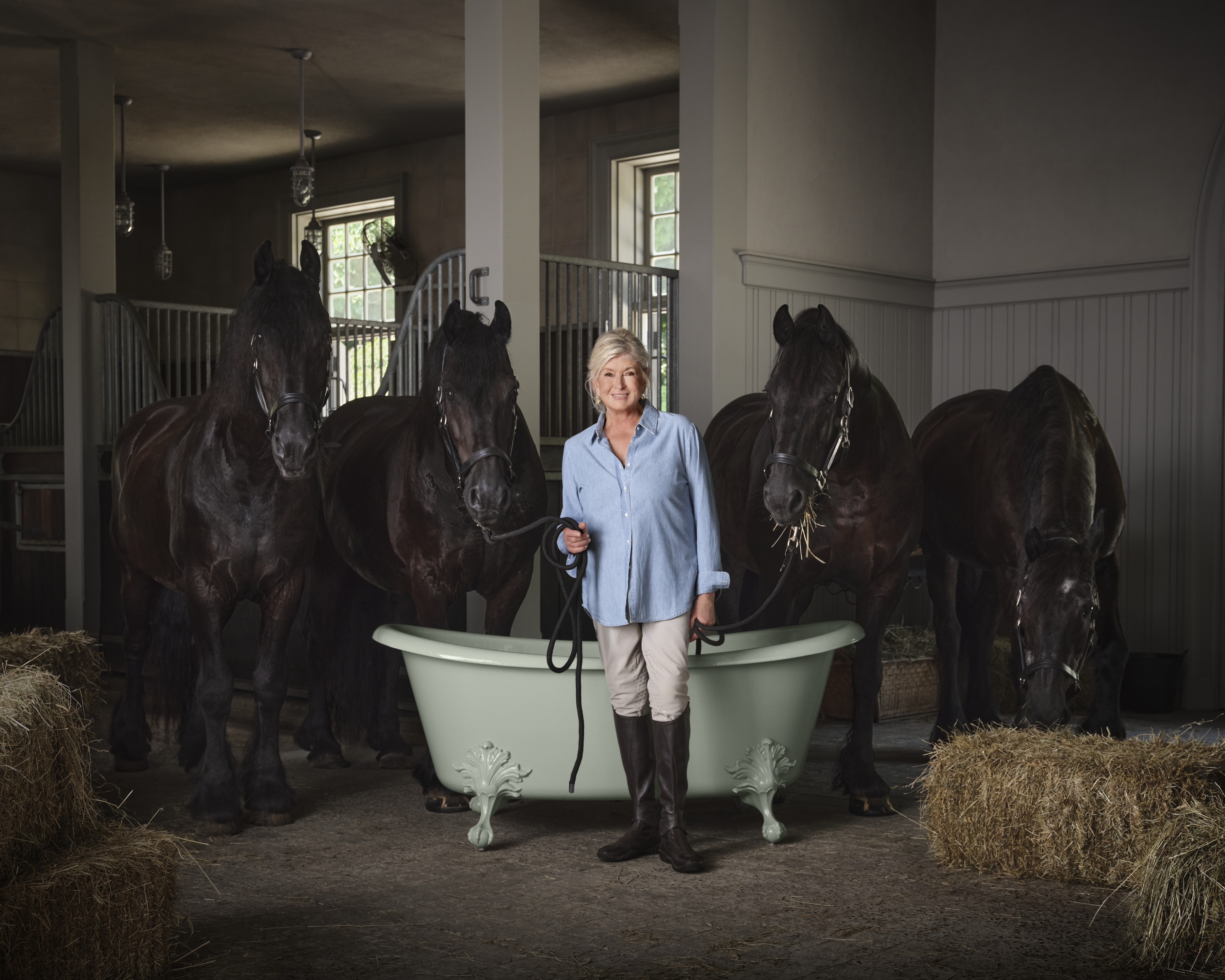 martha stewart kohler cast iron ambassador with horses and claw foot tub
