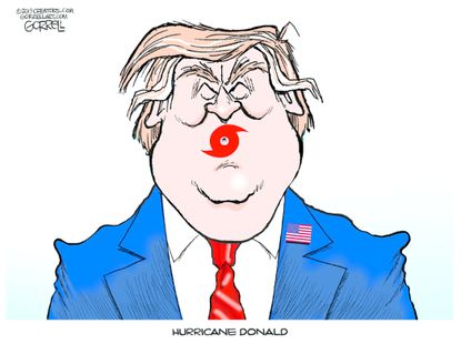 Political Cartoon U.S. Hurricane Donald Eye of the Storm