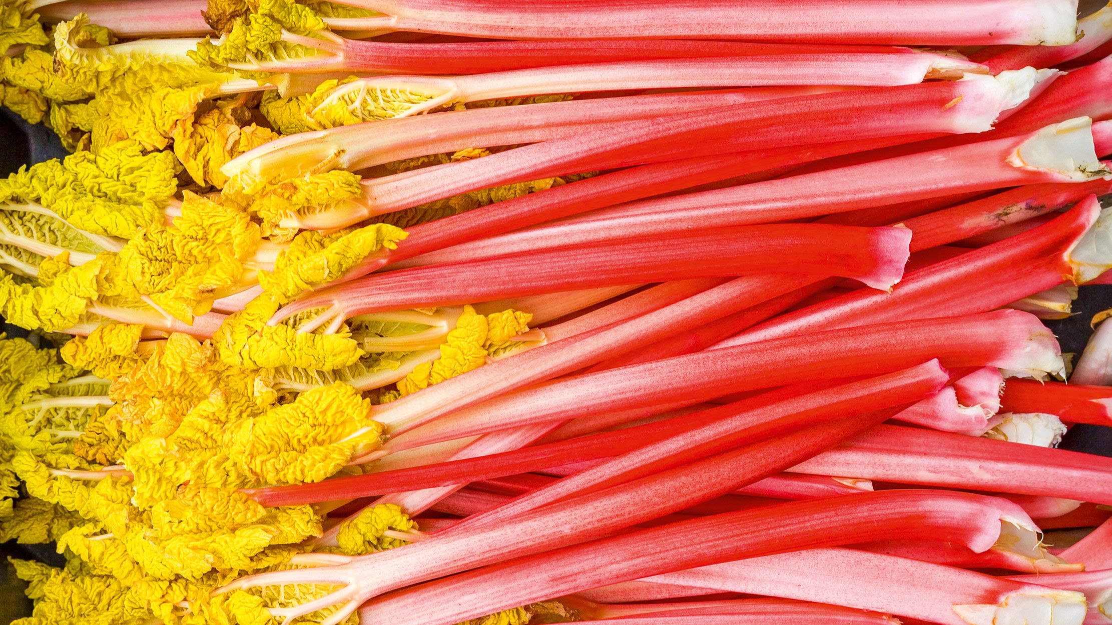 The Italians think it's a laxative and the Germans say it leeches your bones, but rhubarb is a true British wonder. Here's how to do it justice