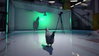 Finding a strange studio with a giant chicken in it.