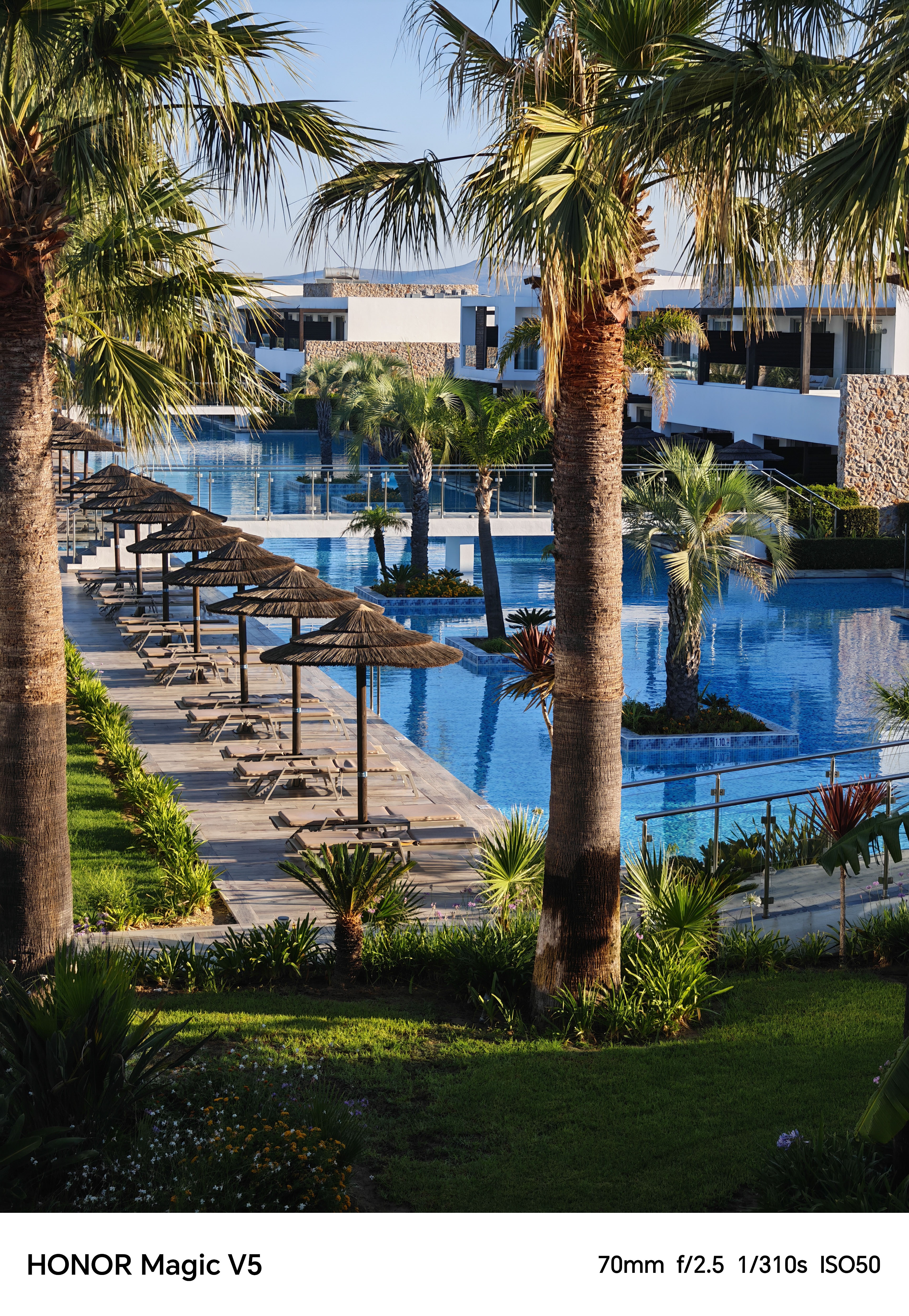 Palm trees, deck chairs and parasols lined up around a pool