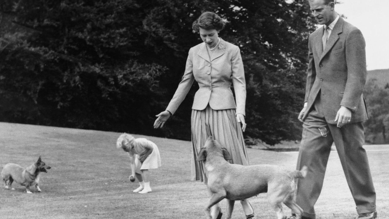 Royal Family at Balmoral. Princess Anne tempts the queen&#039;s corgi, Sugar, with a ball, and the Duke of Edinburgh&#039;s dog, Candy, looks up at Queen Elizabeth, as with the duke and Prince Charles they walk in the grounds of Balmoral Castle during the royal family&#039;s summer holiday, August 1955. The castle, private property of the sovereign, at Deeside, West Aberdeenshire, Scotland, was bought by Prince Albert in 1852 for $31,000. The castle was rebuilt three years later. The castle was Queen Victoria&#039;s favorite residence and she often held court there. Since then the royal family have kept up the annual custom of staying at Balmoral during the shooting season. The sporting estate abounds with grouse and red deer.