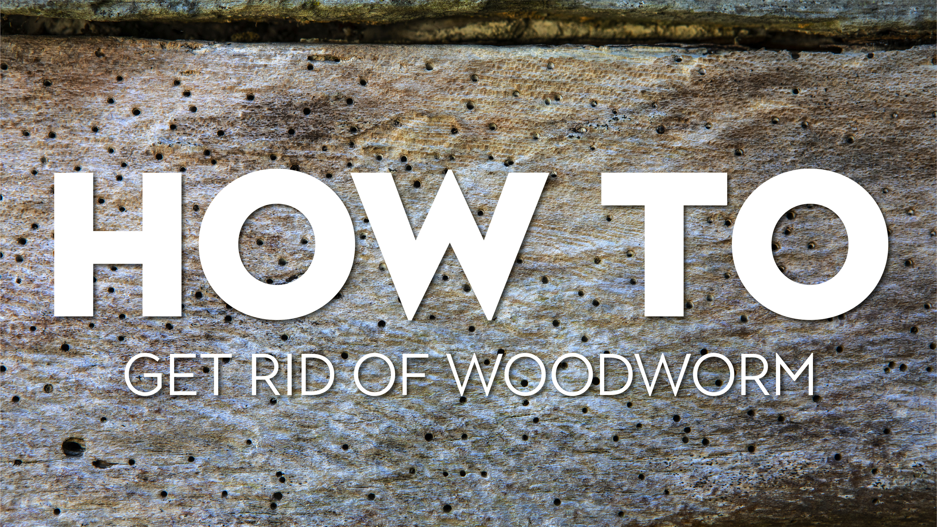 How to get rid of woodworm, and identify an infestation