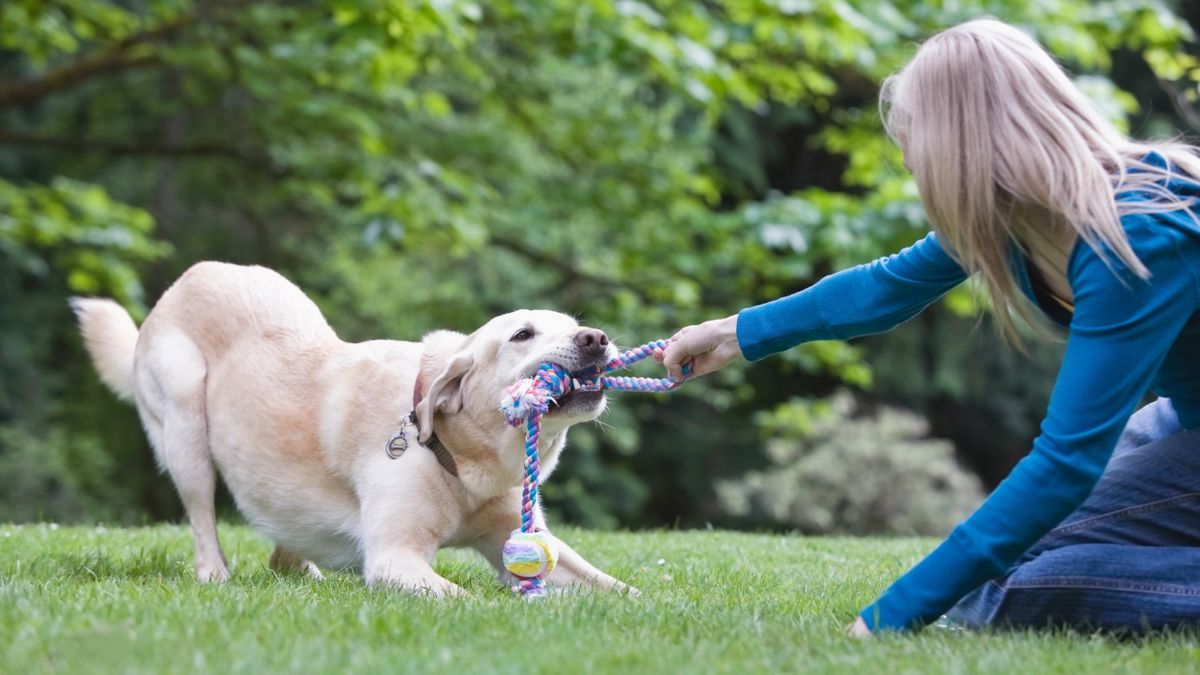 Woman playing with dog