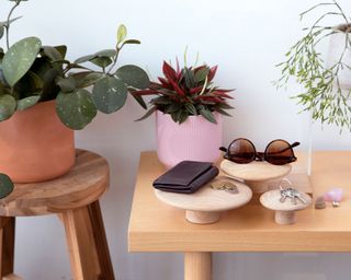 houseplants displayed on a stool and side table with keys and wallet