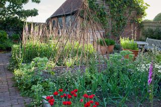 kitchen garden with raised beds in the country