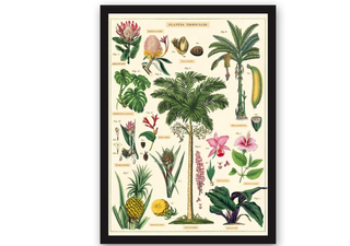 Ohh Deer tropical plant print