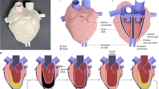Part of a graphic detailing the functions of a 3D printed heart made with Inkbit's VCJ 3D Printing process.