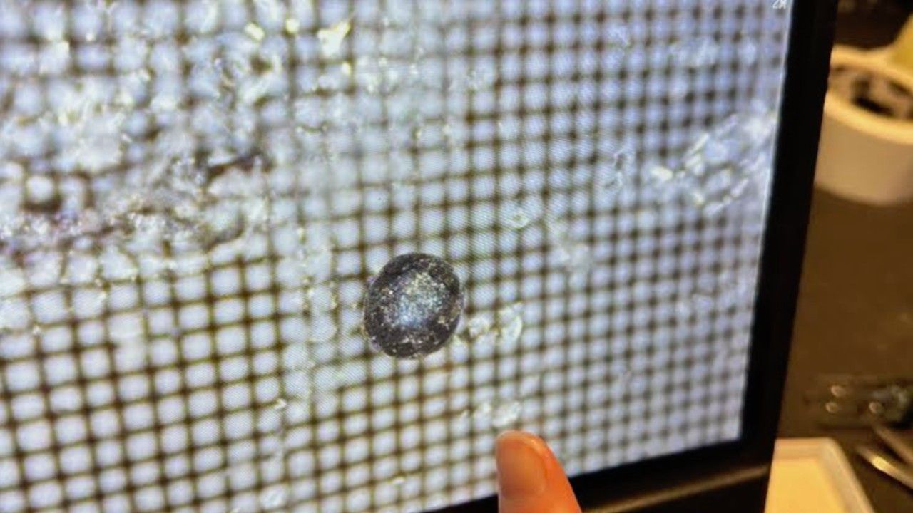 Interstellar meteor fragments found? Harvard astronomers claim sparks debate, criticism