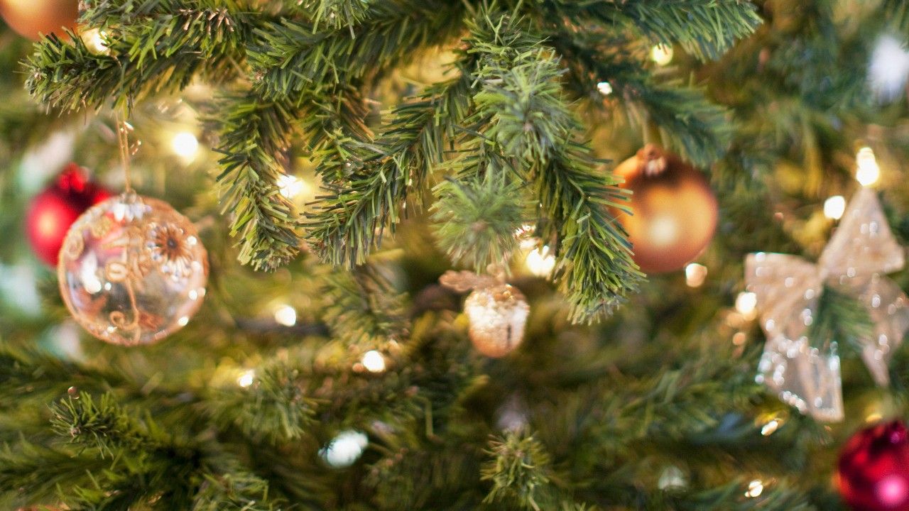 christmas tree with lights and baubles