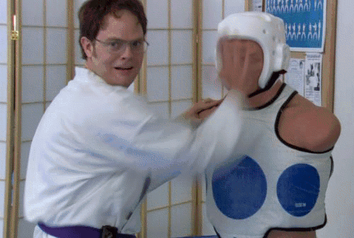 Dwight karate gif
