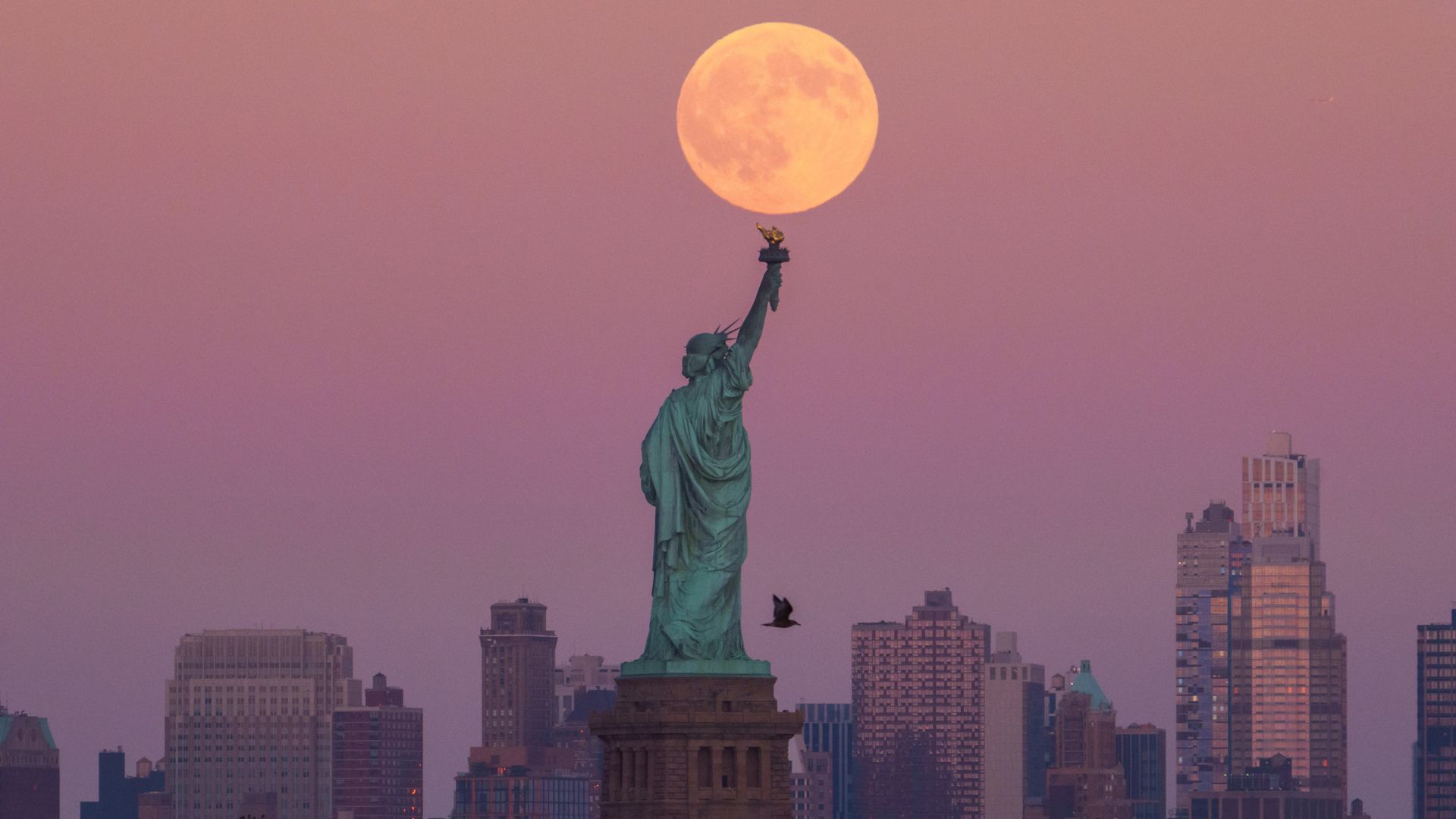 
                                The Harvest Supermoon rises behind the Statue of Liberty and Brooklyn skyline in New York City
                            