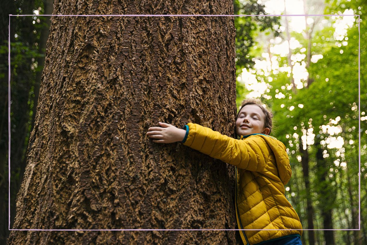 A young girl hugging a tree